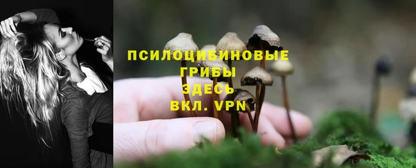 apvp Абдулино