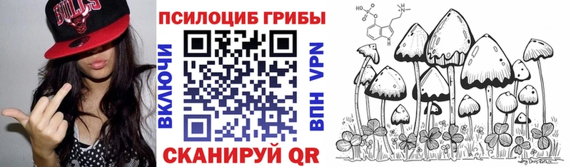 Галлюциногенные грибы Magic Shrooms  закладка  Сокол 