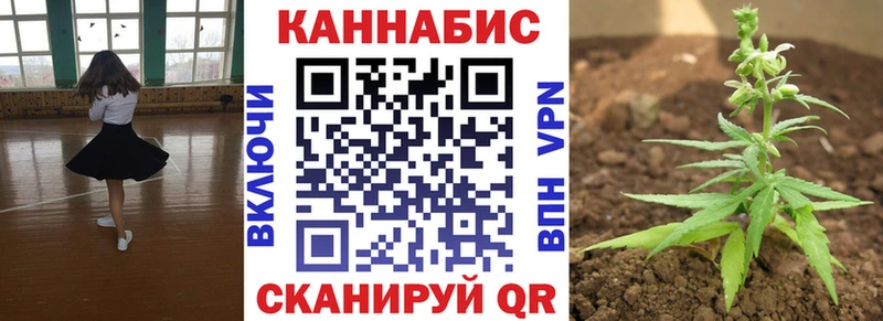 Марихуана сатива  kraken маркетплейс  Сокол 